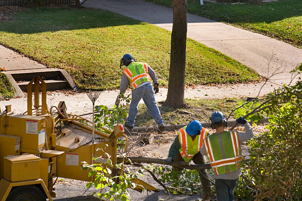 Best Lawn Irrigation Installation and Maintenance  in Carbon Cliff, IL